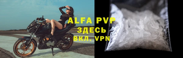 apvp Инсар